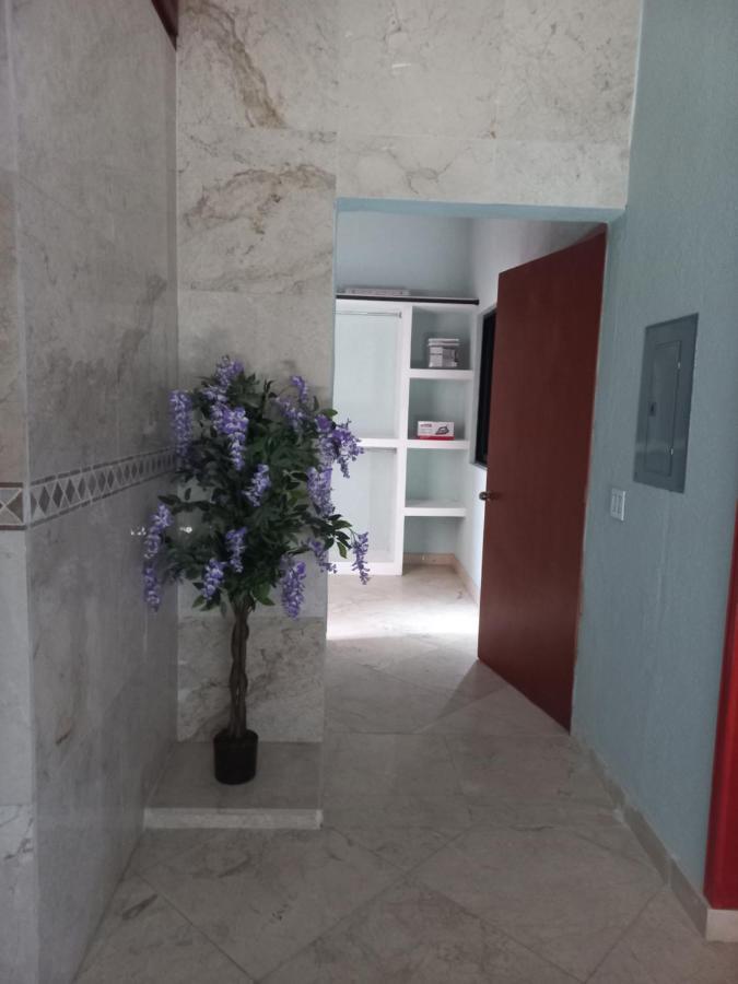 San José del Cabo Departamento Tayde 아파트 외부 사진